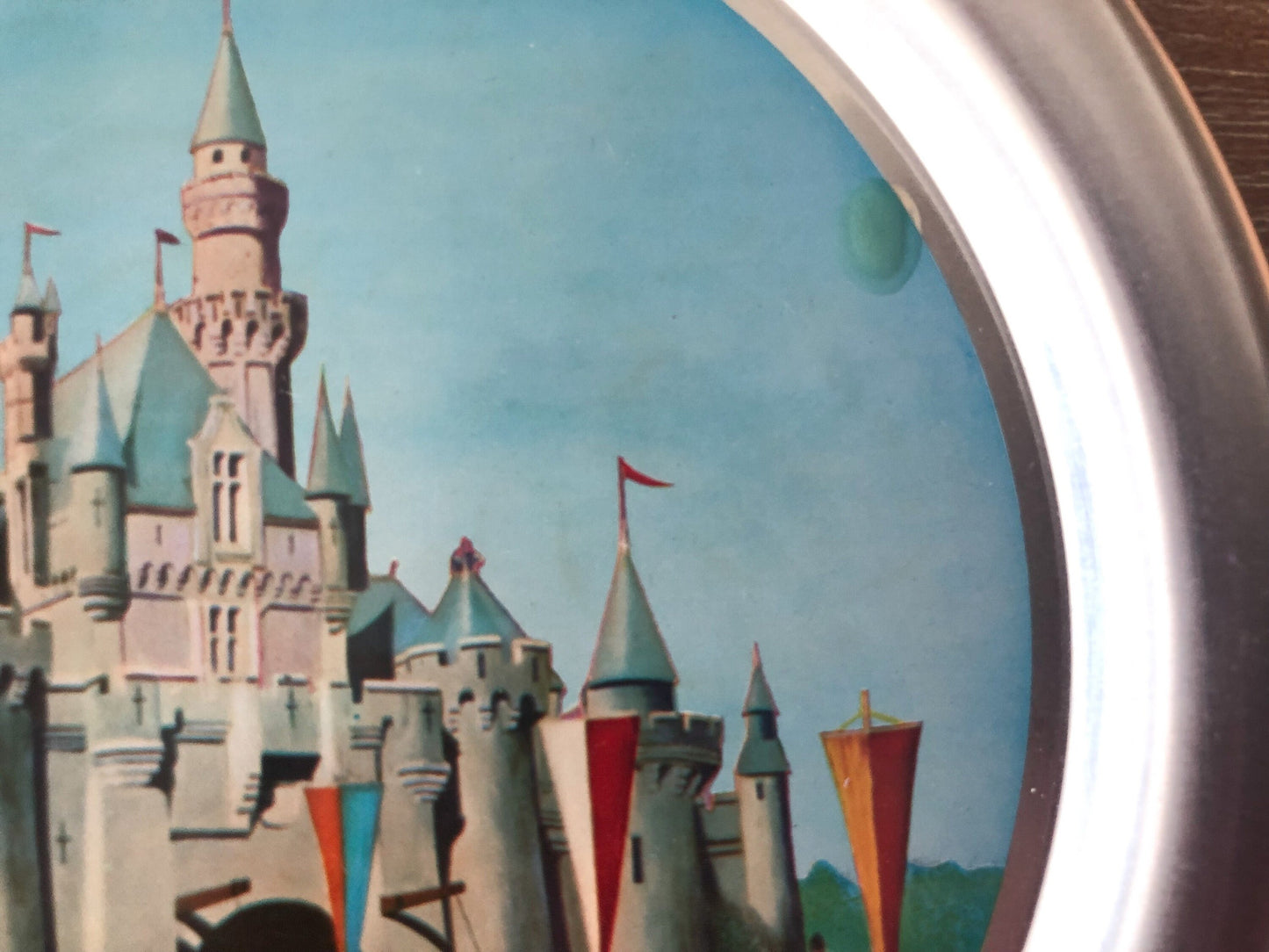 Disneyland Souvenir Tray