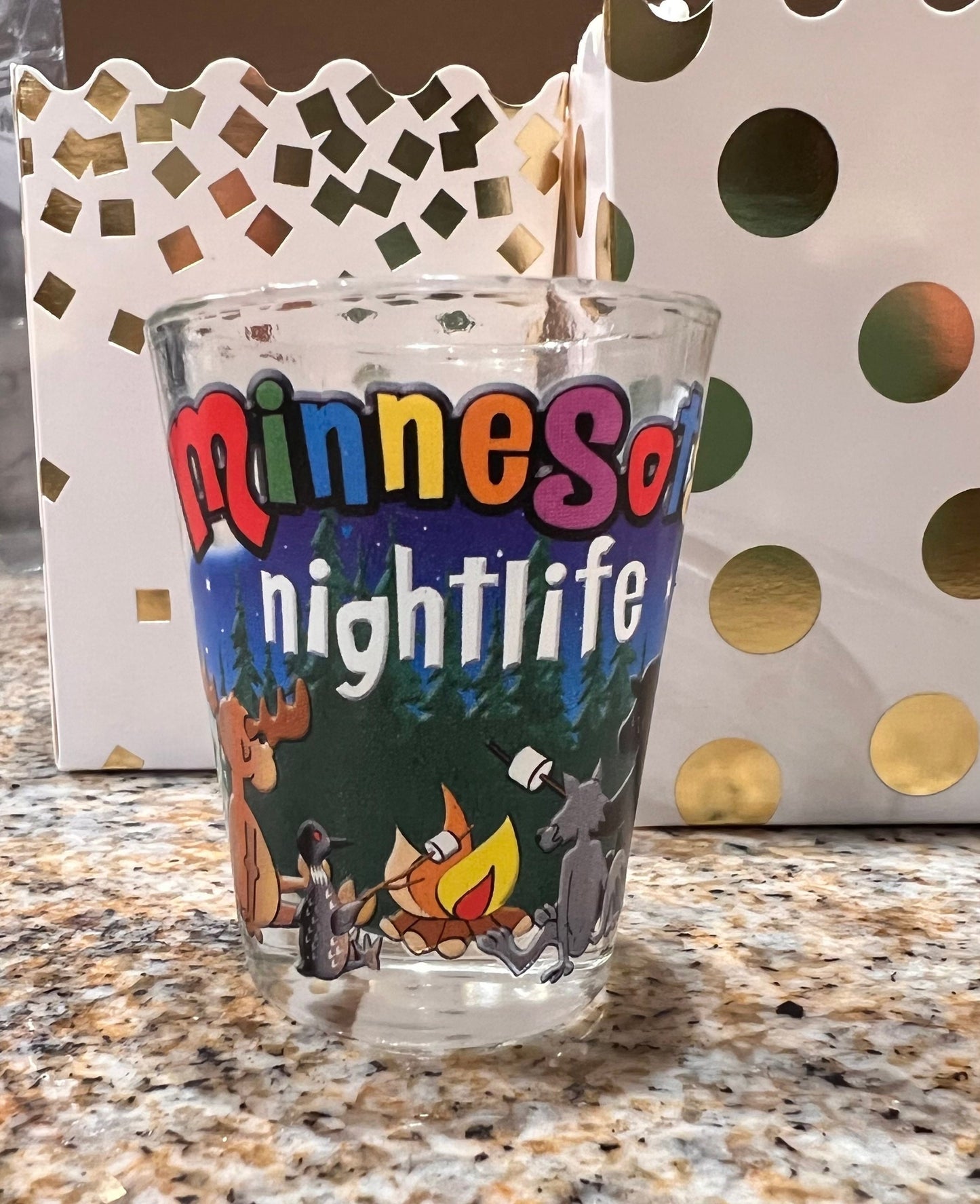 Vintage Minnesota Night Life Souvenir Shot glass