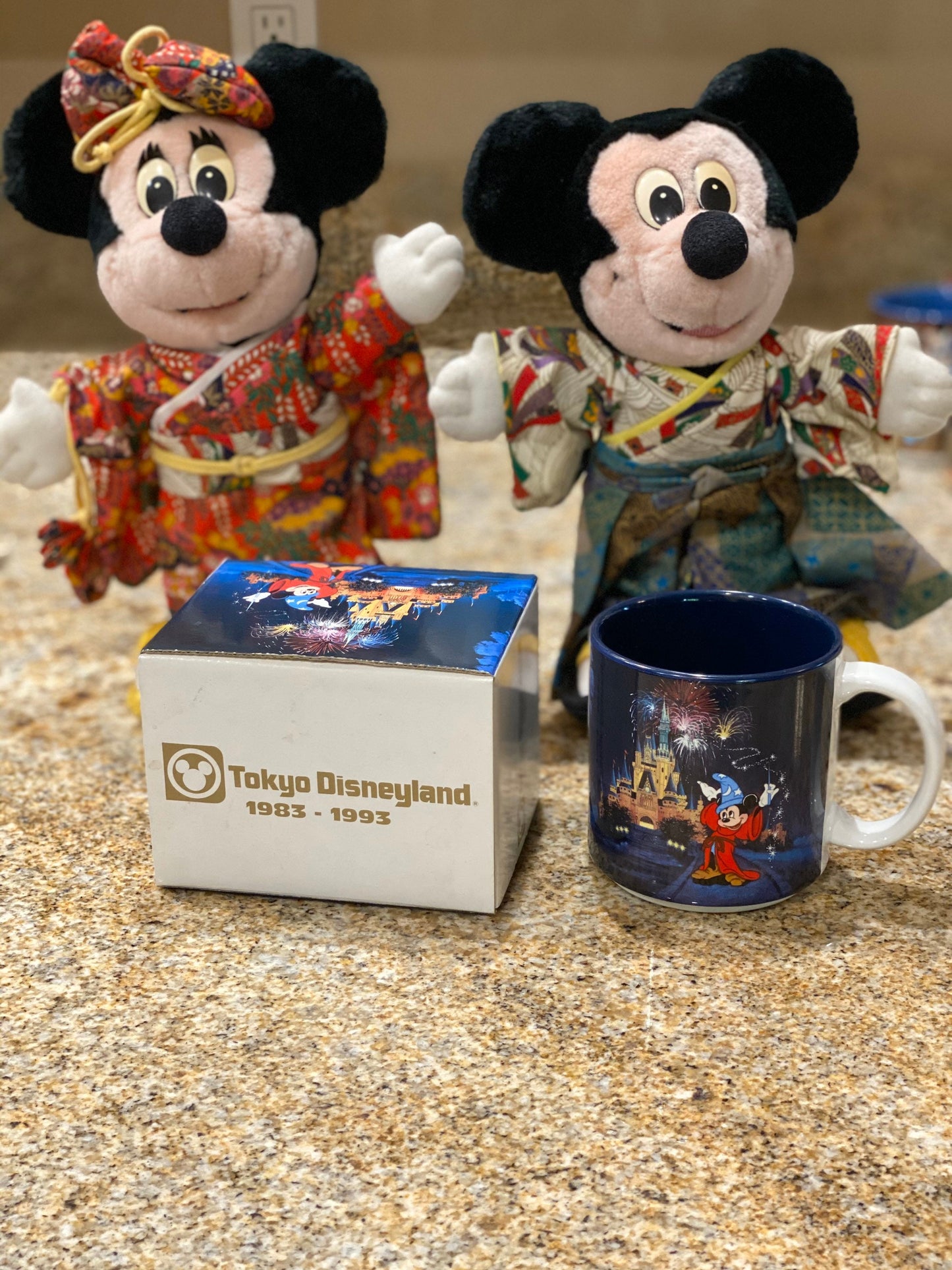 Tokyo Disneyland 10th Anniversary Celebration Souvenir Coffee Cup Mug