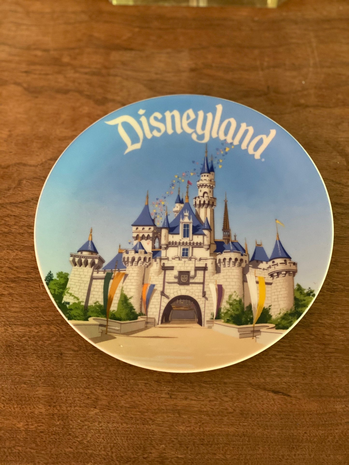 Disneyland  Souvenir Plate